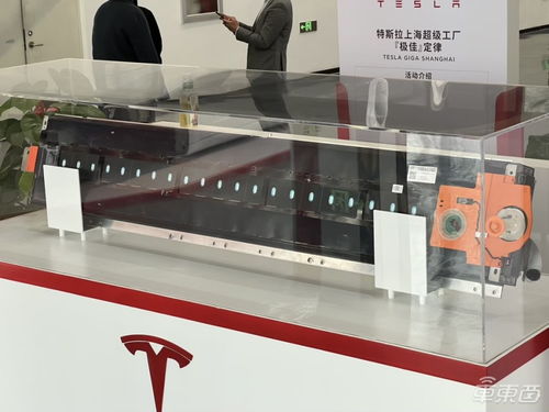 揭秘特斯拉上海工廠黑科技 微縮廠房進入門店，六大工藝完整展示